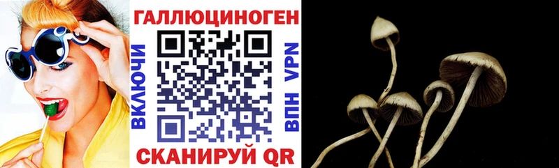 Псилоцибиновые грибы GOLDEN TEACHER  Сосногорск 